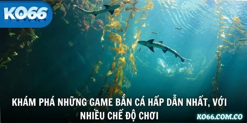 Khám phá những game bắn cá hấp dẫn nhất, với nhiều chế độ chơi