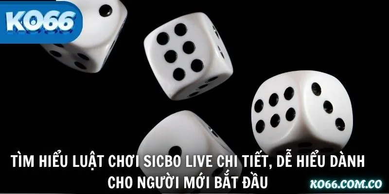 Tìm hiểu luật chơi Sicbo Live chi tiết, dễ hiểu dành cho người mới bắt đầu